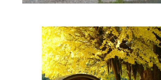 販路開拓・事業開発 イメージ